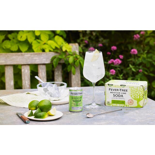 Fever-Tree Mexican Lime Soda thumbnail 2