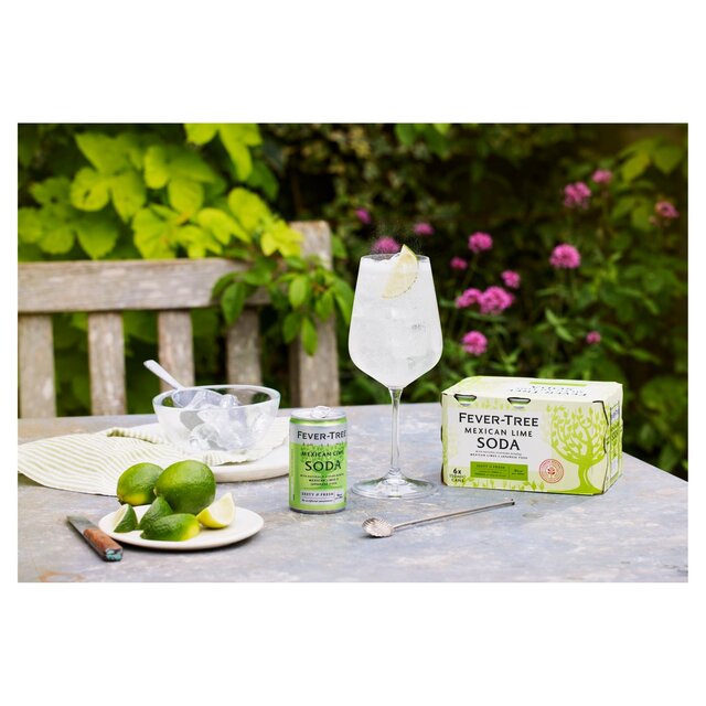 Fever-Tree Mexican Lime Soda thumbnail 5