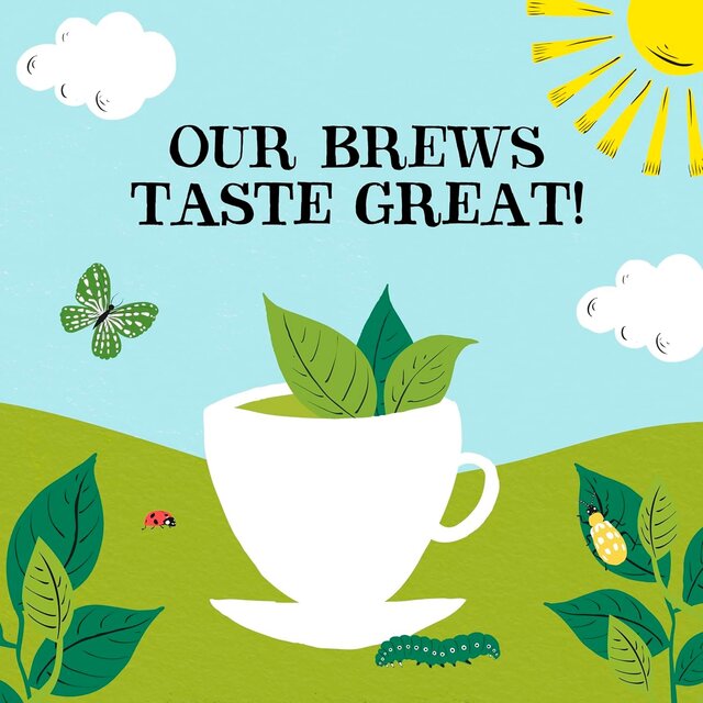 Clipper Organic Everyday 160 Tea bags thumbnail 4