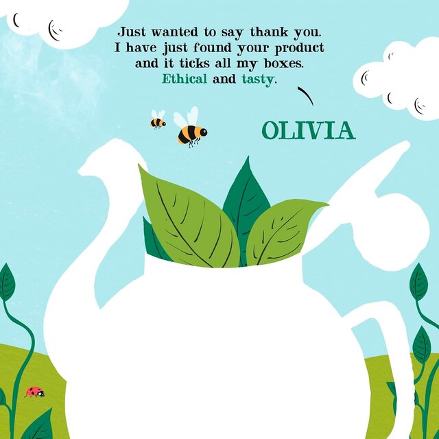 Clipper Organic Everyday 160 Tea bags thumbnail 5