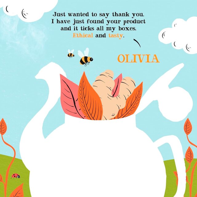 Clipper Organic Fairtrade Restoring Roots Ginger & Turmeric 20 Tea Bags thumbnail 7