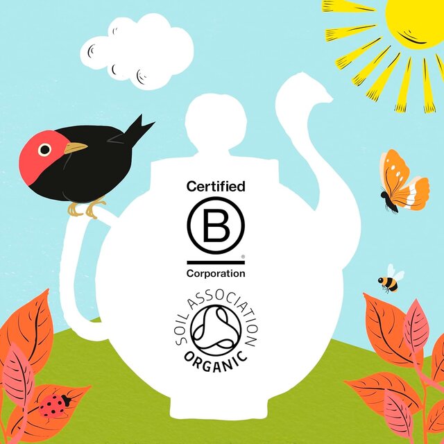 Clipper Organic Fairtrade Restoring Roots Ginger & Turmeric 20 Tea Bags thumbnail 9