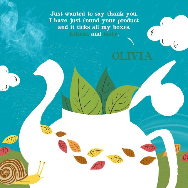 Clipper Organic Everyday 80 Tea Bags thumbnail 2