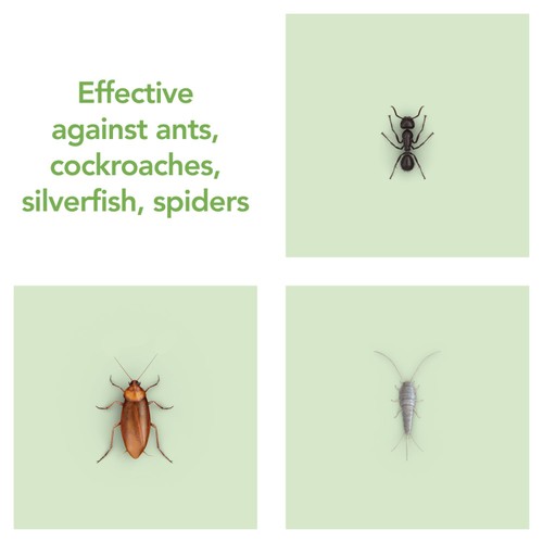 Raid Plant Based Crawling Insect Killer Aerosol Spray thumbnail 6