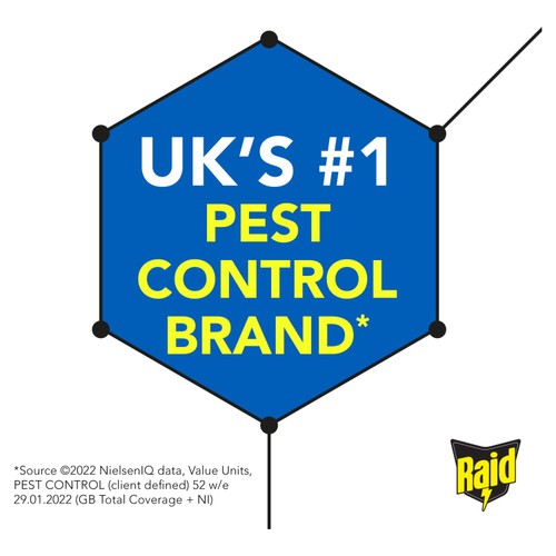 Raid Plant Based Crawling Insect Killer Aerosol Spray thumbnail 7