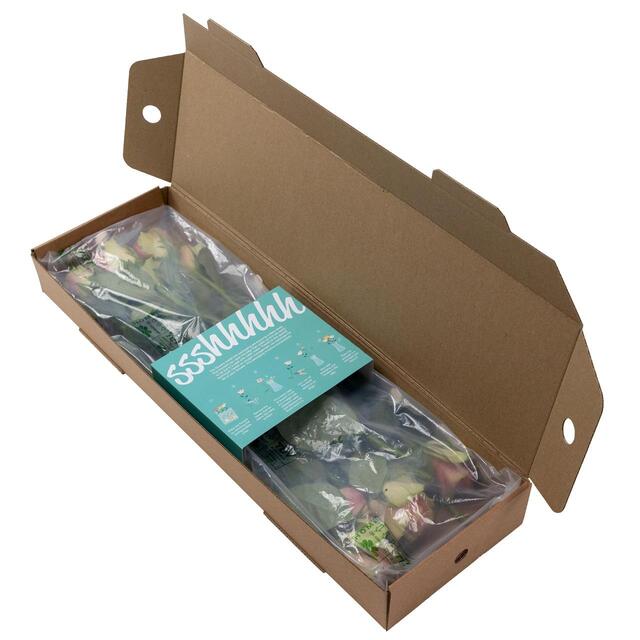 Pale Pink Roses thumbnail 3