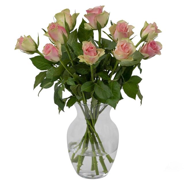 Pale Pink Roses thumbnail 4