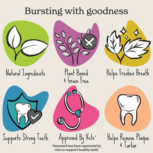 Forthglade Natural Plant Based Dental Sticks thumbnail 4