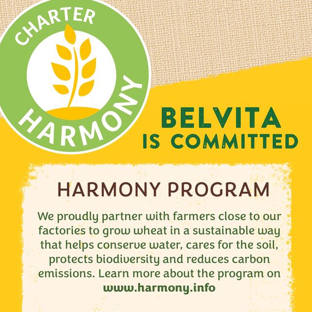 Belvita Milk & Cereals Breakfast Biscuits thumbnail 6