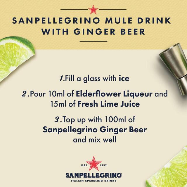 San Pellegrino Ginger Beer Glass thumbnail 2
