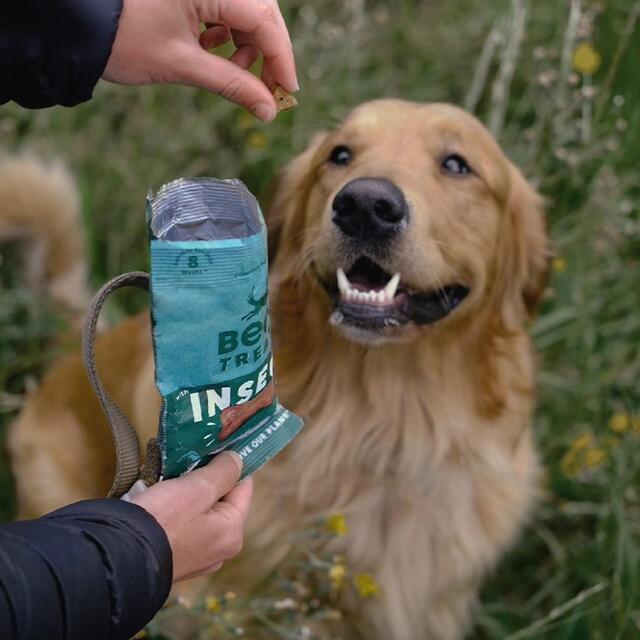 Beco Dog Treats Insect with Apple, Chia Seeds & Parsley thumbnail 2