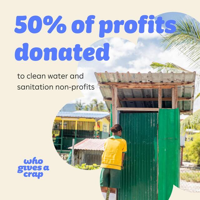 Who Gives A Crap Kitchen Roll thumbnail 4