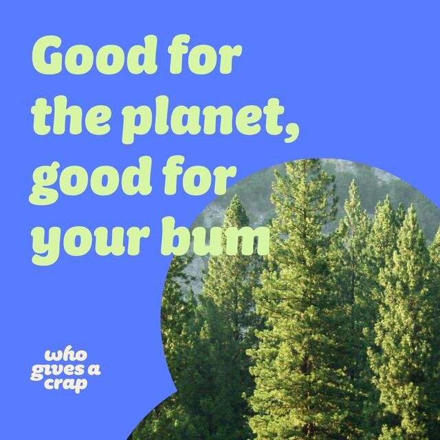 Who Gives A Crap Facial Tissues thumbnail 7