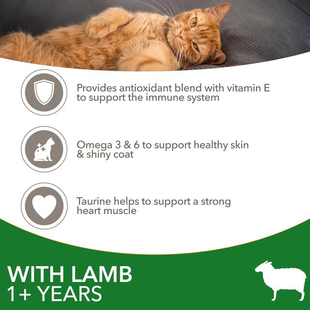 IAMS Adult Dry Cat Food Lamb thumbnail 3