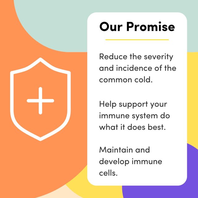 Vitl Immune Support Capsules thumbnail 7