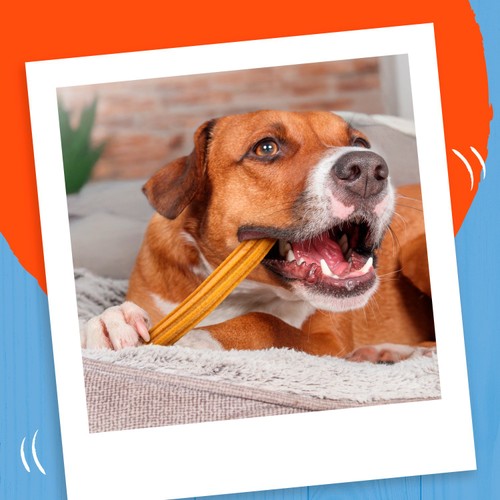 Bakers Dental Delicious Large Chicken Dog Chews thumbnail 4