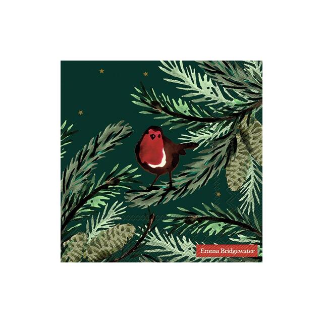 Emma Bridgewater Norway Spruce Robin Napkins thumbnail 2