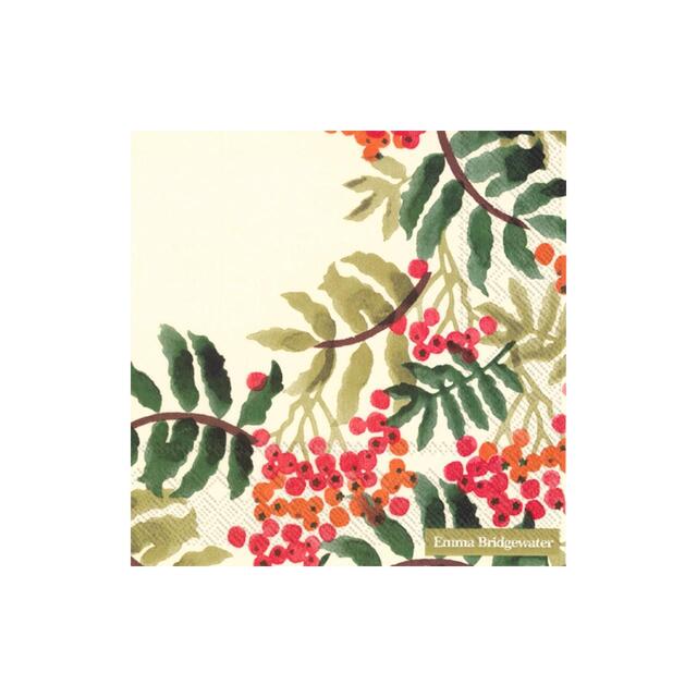 Emma Bridgewater Rowan Berry Napkins thumbnail 2