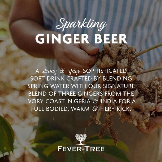 Fever-Tree Light Ginger Beer thumbnail 5