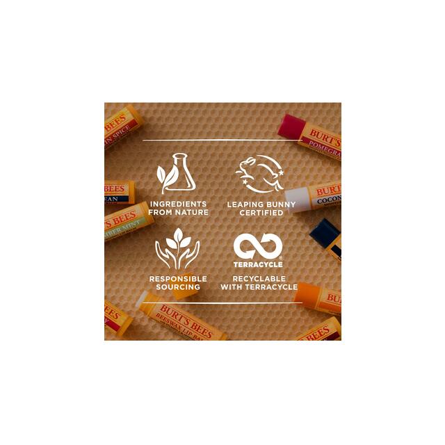 Burt's Bees Freshly Picked Lip Balm thumbnail 6