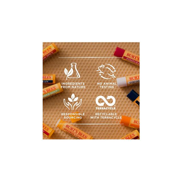 Burt's Bees Best of Burt's Lip Balm thumbnail 4