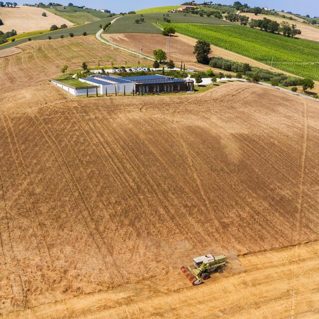 Mancini Pasta Penne thumbnail 3