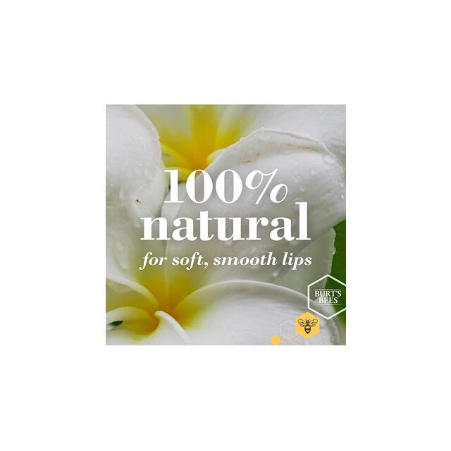 Burt's Bees Ultra Conditioning Lip Balm with Kokum thumbnail 4
