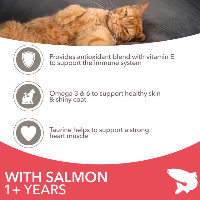 IAMS Adult Dry Cat Food Salmon thumbnail 3