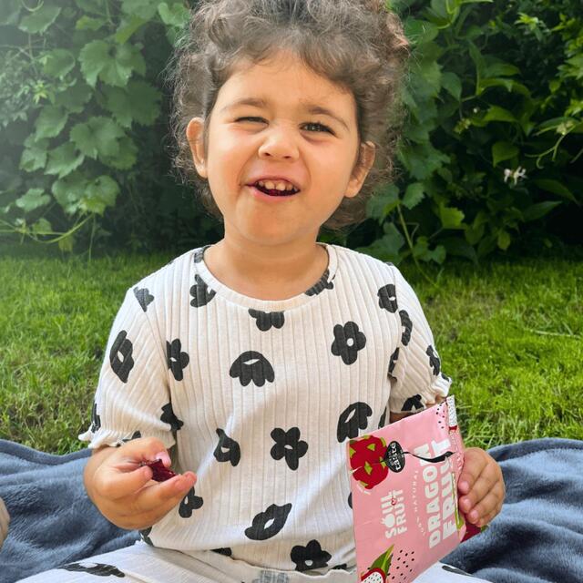 Soul Fruit Freeze Dried Dragon Fruit Crisps thumbnail 4