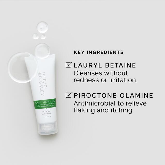Philip Kingsley Flaky Itchy Scalp Shampoo thumbnail 5