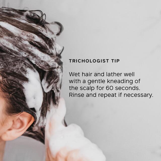 Philip Kingsley Moisture Balancing Shampoo thumbnail 5