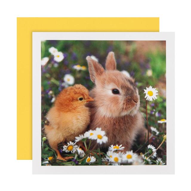 M&S Photo Bunny & Chick Easter Card
