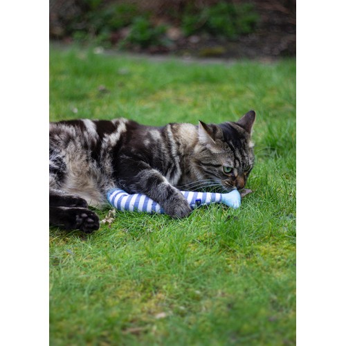 Battersea Catnip Kicker Fish thumbnail 4
