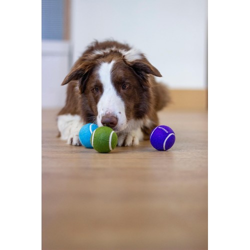Battersea Tennis Balls  thumbnail 8