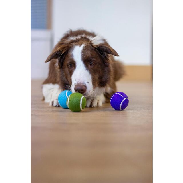 Battersea Tennis Balls thumbnail 8