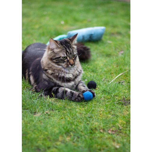 Battersea Pounce Cat Balls thumbnail 7