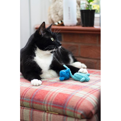 Battersea Tune Chaser Mice  thumbnail 5