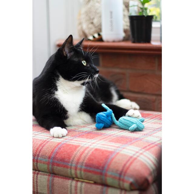 Battersea Tune Chaser Mice thumbnail 5