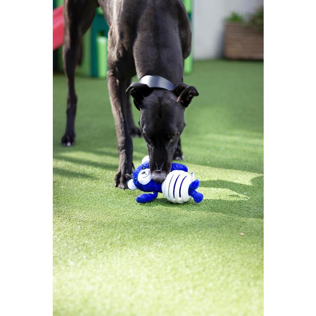 Battersea Rubber Belly Bear thumbnail 6