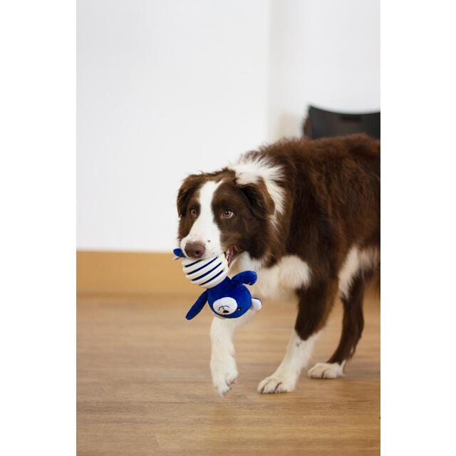 Battersea Rubber Belly Bear thumbnail 7