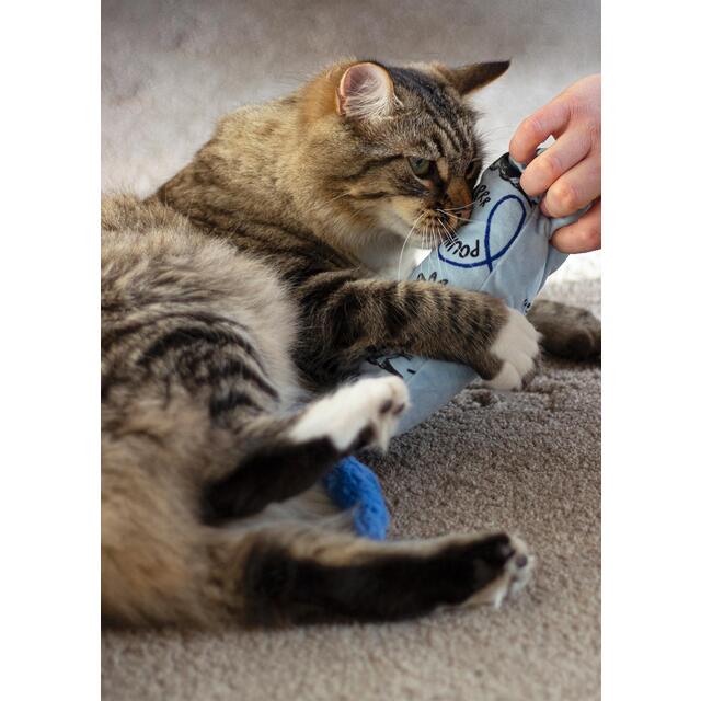 Battersea Catnip Kicker Geo Print thumbnail 6