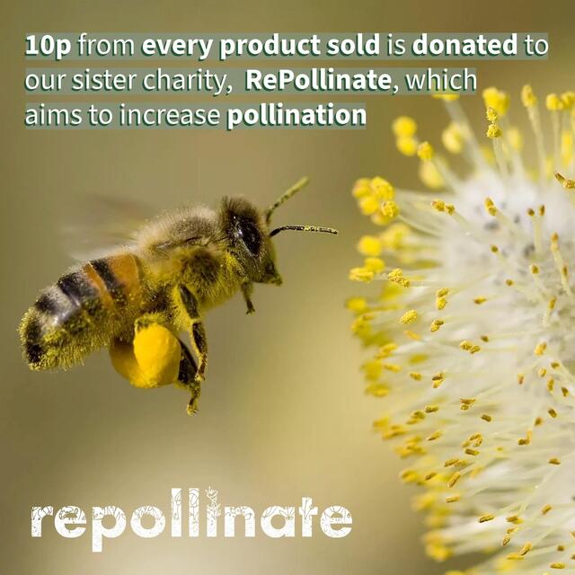 Scottish Bee Company Signature honey thumbnail 6