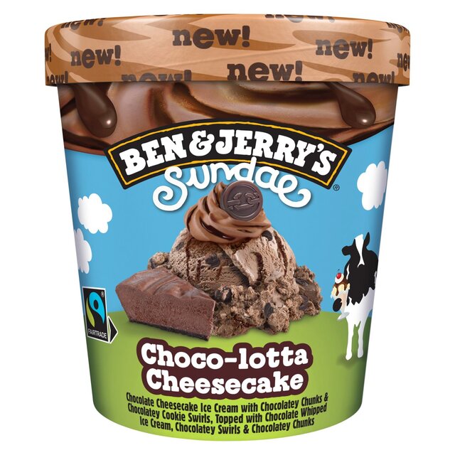 Ben & Jerry's  Sundae Choco-lotta Cheesecake Ice Cream Tub