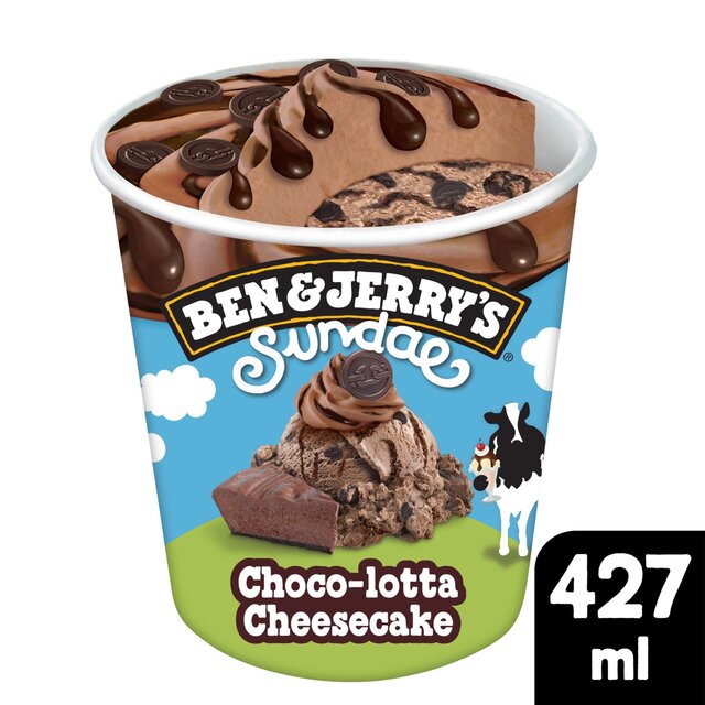 Ben & Jerry's  Sundae Choco-lotta Cheesecake Ice Cream Tub thumbnail 2