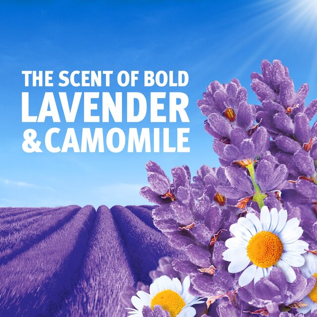 Bold All-in-1 Pods Washing Liquid Capsules Lavender & Camomile 51 Washes thumbnail 3