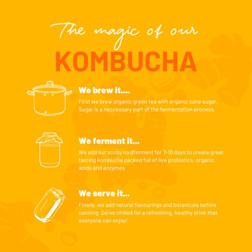 One Living Ginger Kombucha Multipack thumbnail 5