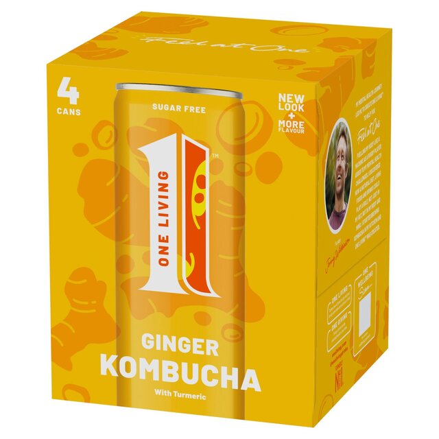 One Living Ginger Kombucha Multipack
