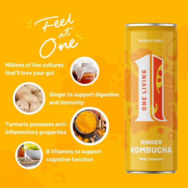 One Living Ginger Kombucha Multipack thumbnail 2