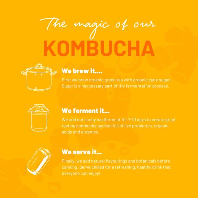 One Living Ginger Kombucha Multipack thumbnail 5