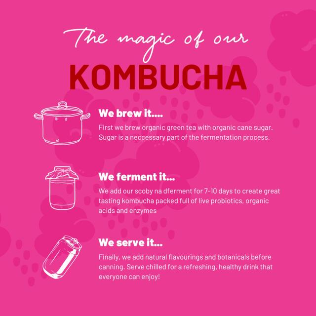 One Living Raspberry Kombucha Multipack thumbnail 5